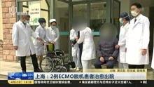 大城县吃瓜新闻报道视频,揭秘当地热门事件背后的真相
