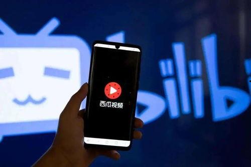 吃瓜大战现场视频大全播放,一场视觉盛宴的狂欢