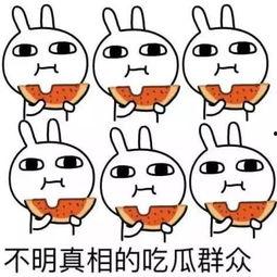 熊吉吃瓜吐舌视频大全下载,趣味横生的欢乐时光回顾