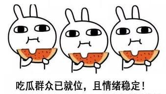 吃瓜人怎么骂人的视频教程,视频教程教你如何犀利反击