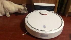 机器人吃瓜视频,科技与娱乐的跨界碰撞