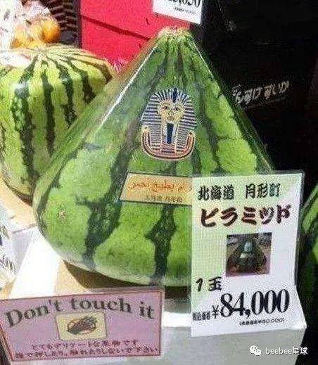 全世界吃瓜群众是谁啊视频,网络热词背后的文化现象