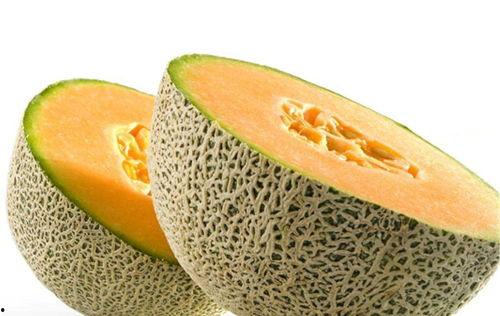 吃哈密瓜谁最快解酒呢视频