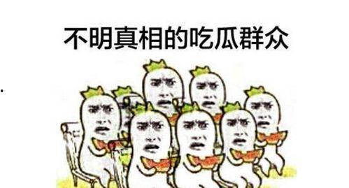 吃瓜群众捡西瓜视频播放