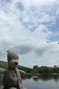 吃瓜小熊化妆视频大全集,视频大全集精华汇总