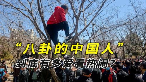 缅甸内战大妈吃瓜视频,大妈围观吃瓜，揭秘战火中的平民生活