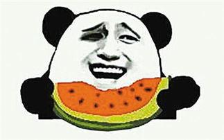 吃瓜嗑瓜子儿歌视频播放